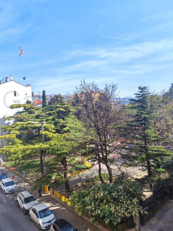 appartamento in affitto a Trieste in zona San Giacomo