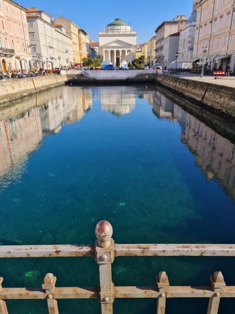 appartamento in affitto a Trieste