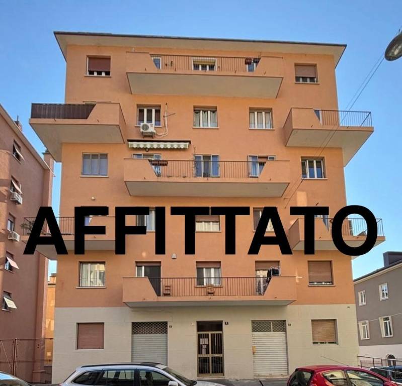 appartamento in affitto a Trieste