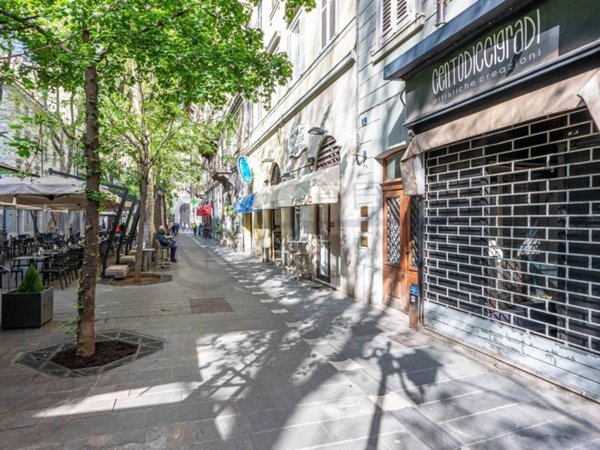 negozio in affitto a Trieste