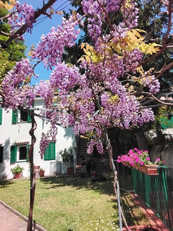 appartamento in affitto a Trieste in zona Scorcola