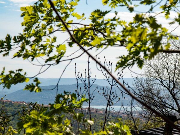 appartamento in affitto a Trieste in zona Cologna