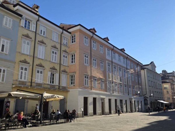 negozio in affitto a Trieste in zona Cavana