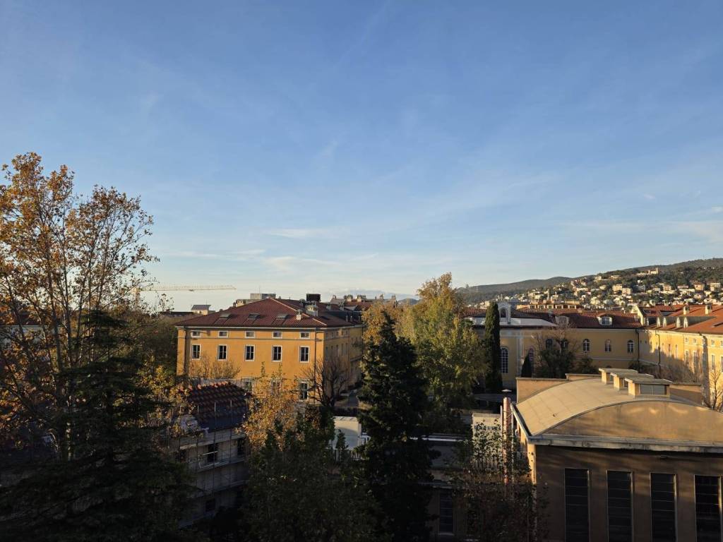 appartamento in affitto a Trieste
