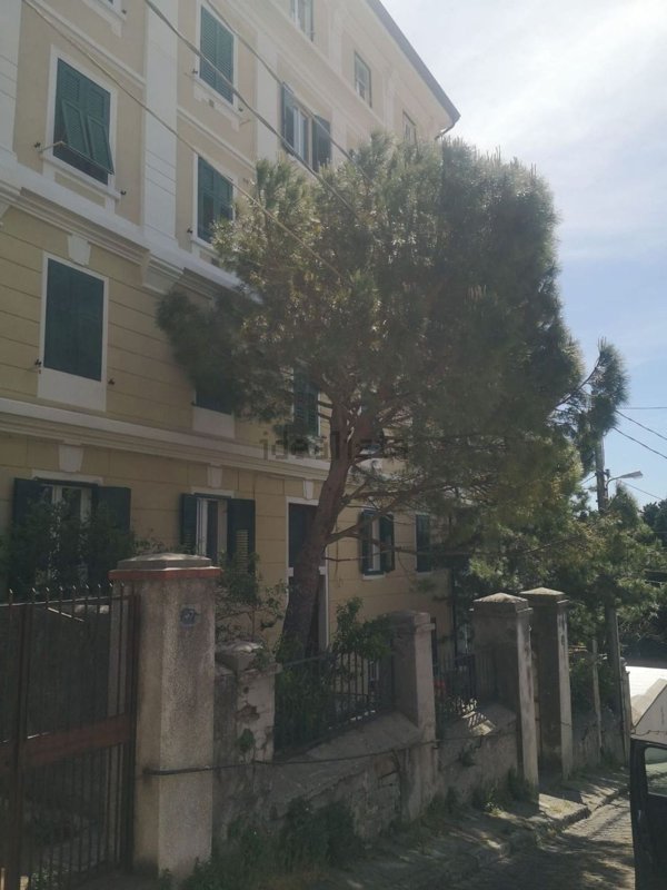 appartamento in affitto a Trieste in zona Gretta