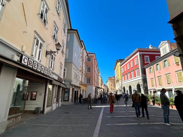 appartamento in affitto a Trieste