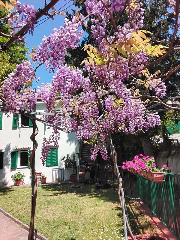 appartamento in affitto a Trieste in zona Scorcola