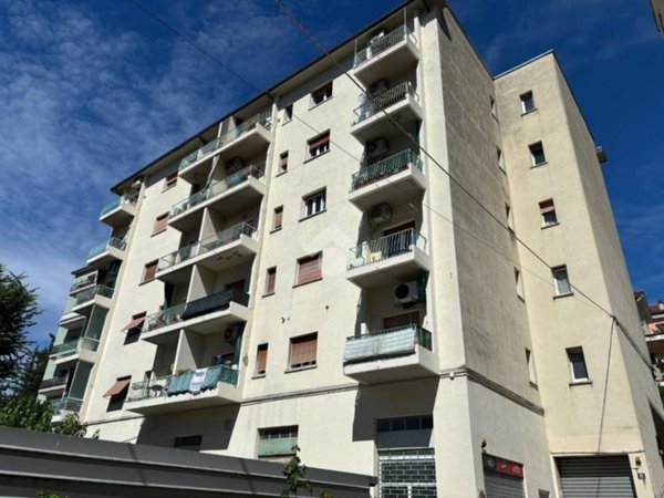 appartamento in affitto a Trieste in zona Cologna