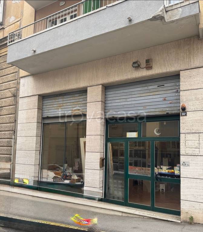 negozio in affitto a Trieste