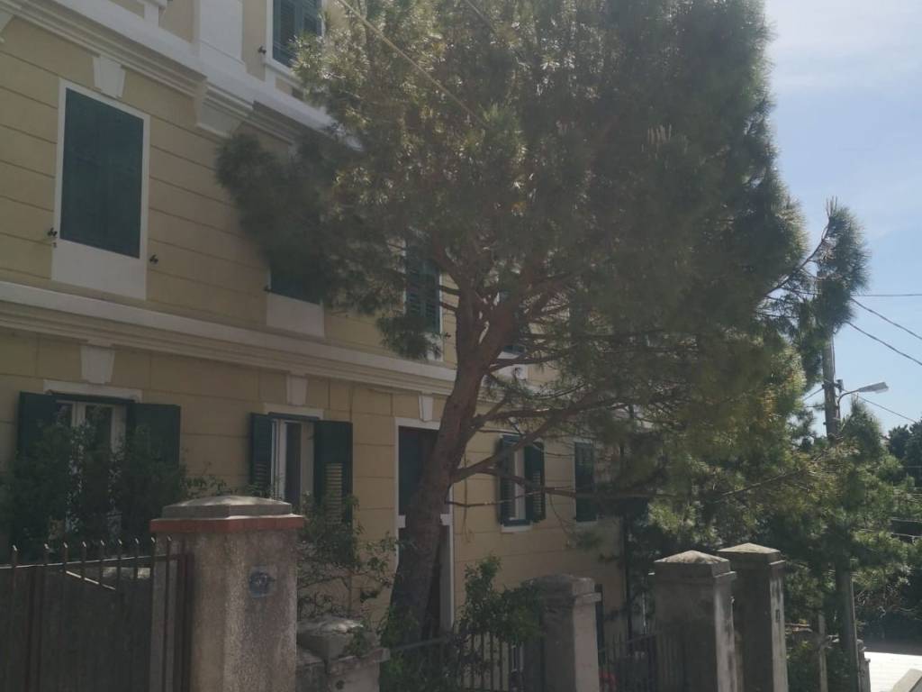 appartamento in affitto a Trieste in zona Gretta
