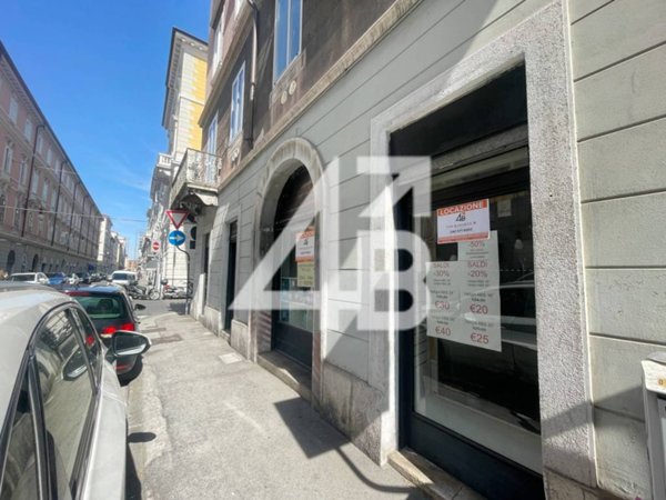 negozio in affitto a Trieste