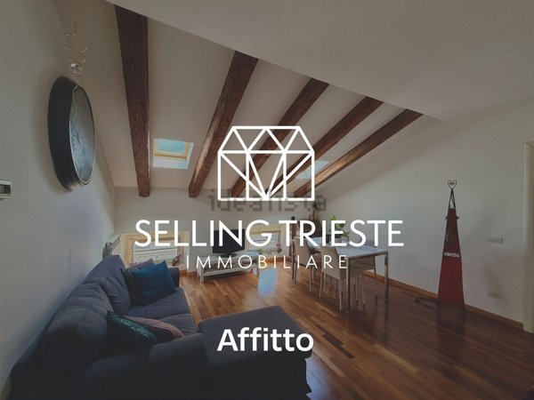 appartamento in affitto a Trieste