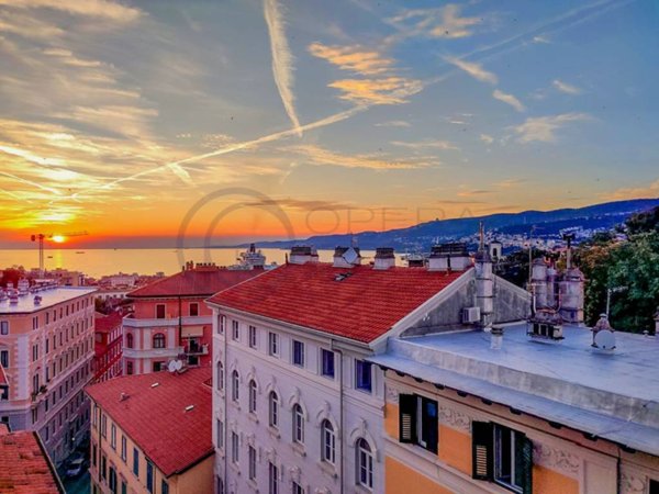 appartamento in affitto a Trieste