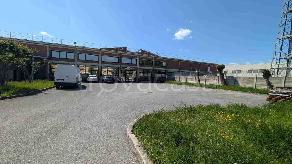 ufficio in affitto a Trieste in zona Borgo San Sergio