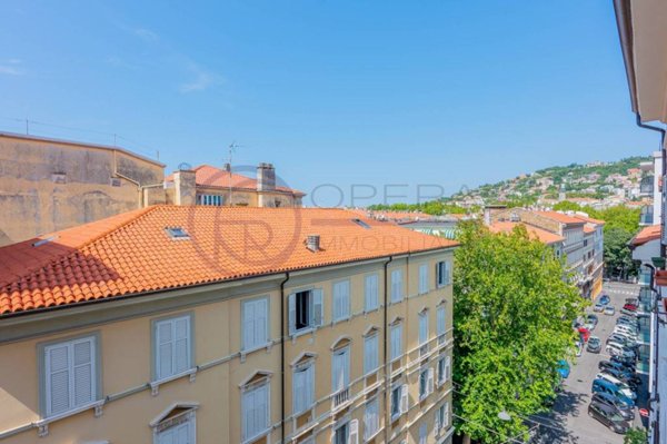 appartamento in affitto a Trieste