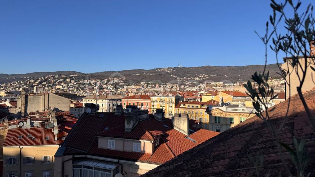 appartamento in affitto a Trieste in zona San Giacomo