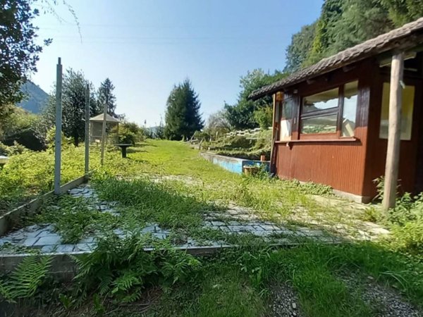 terreno agricolo in affitto a Borgosesia