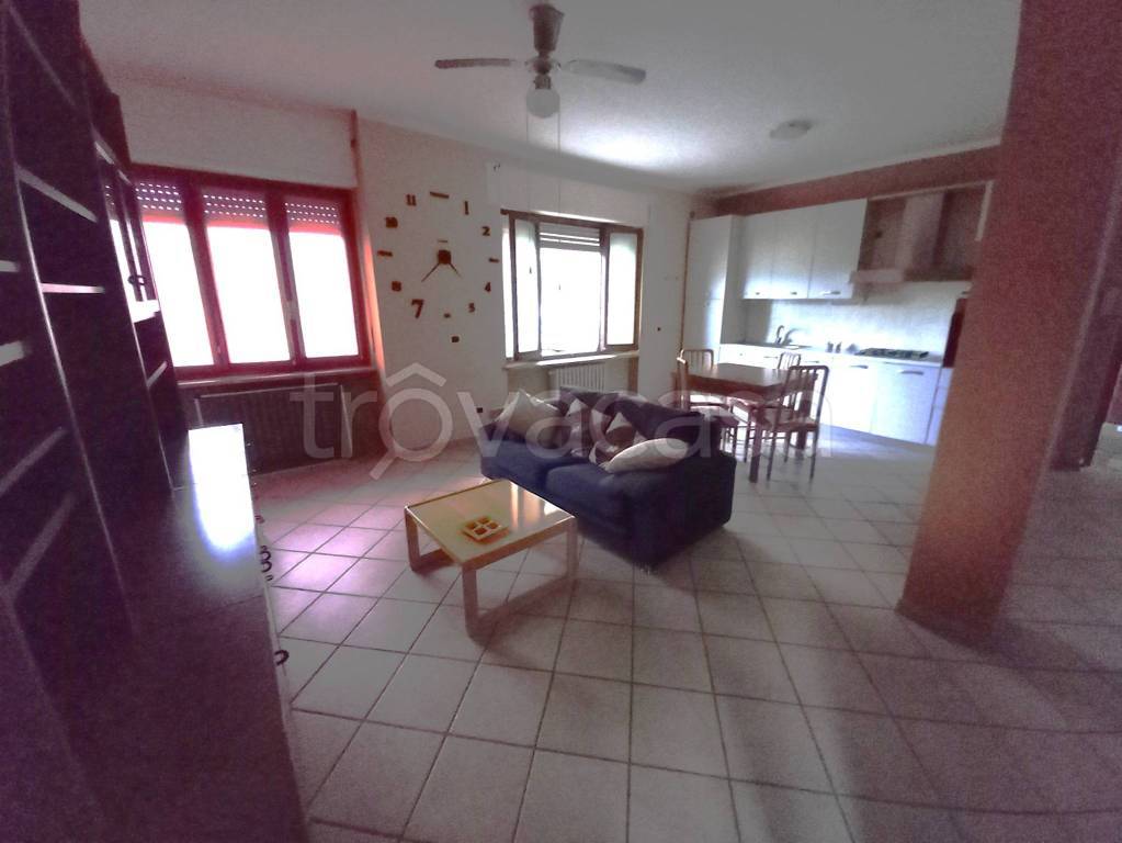 appartamento in affitto a Borgosesia