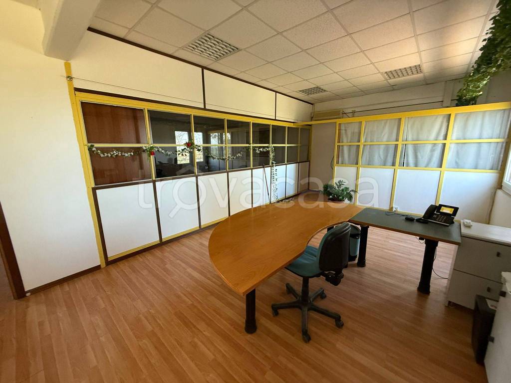 appartamento in affitto a Cigliano
