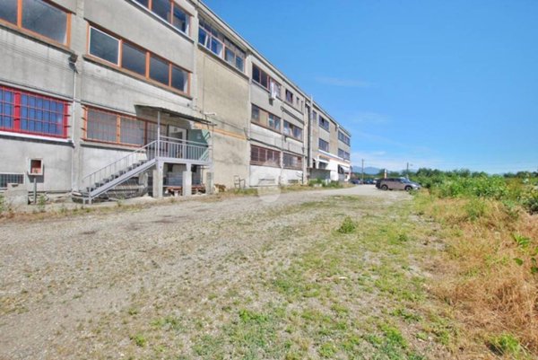 negozio in affitto a Cigliano in zona Olmetto