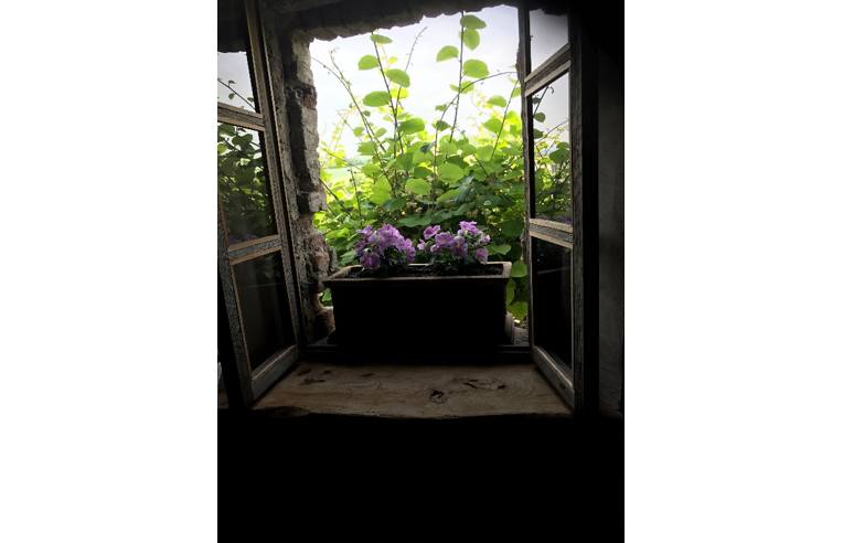 casa indipendente in affitto ad Agazzano