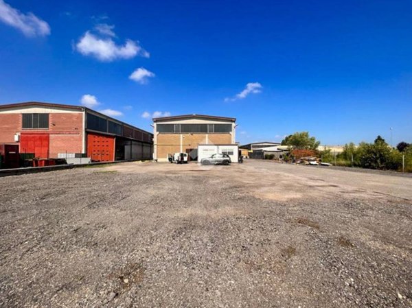 immagine annuncio 0 di 15