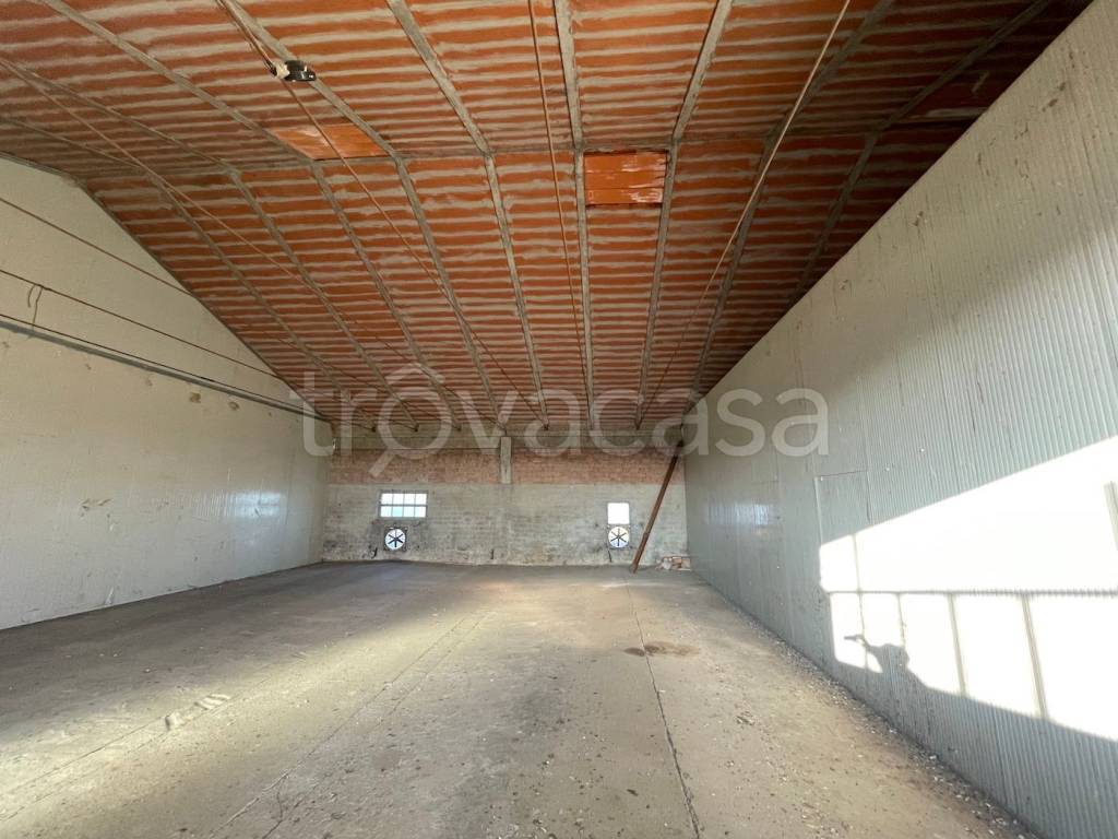 locale commerciale in affitto a Carpaneto Piacentino