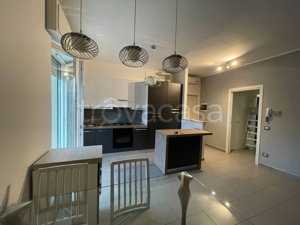 appartamento in affitto a Carpaneto Piacentino