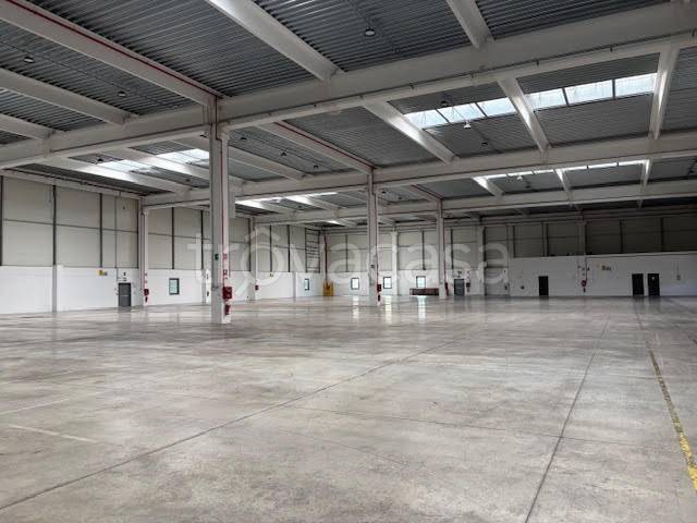 immagine annuncio 0 di 15