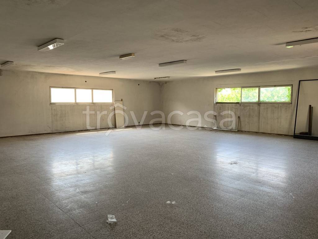 appartamento in affitto a Castel San Giovanni