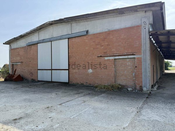 locale di sgombero in affitto a Fiorenzuola d'Arda