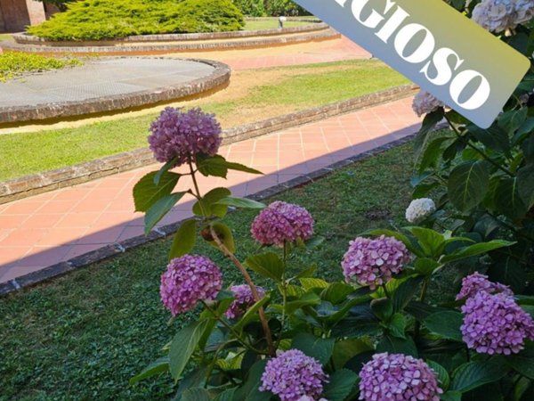 appartamento in affitto a Gazzola in zona Croara