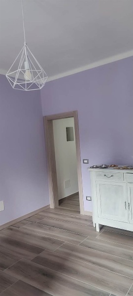 appartamento in affitto a Monticelli d'Ongina