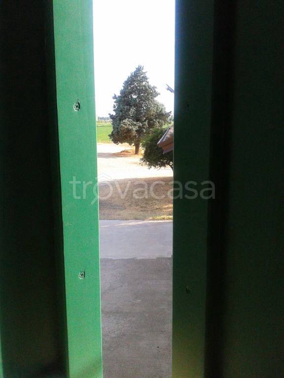 casa indipendente in affitto a Monticelli d'Ongina