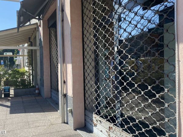 negozio in affitto a Piacenza in zona Infrangibile