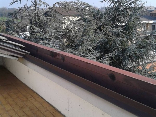 appartamento in affitto a Piacenza in zona Belvedere / Quartiere Duemila