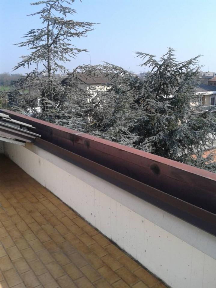 immagine annuncio 0 di 15