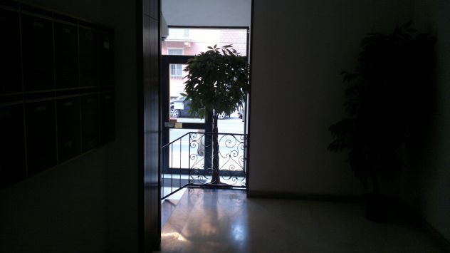 camera singola in affitto a Piacenza