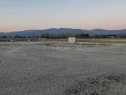 terreno edificabile in affitto a Piacenza in zona Le Mose
