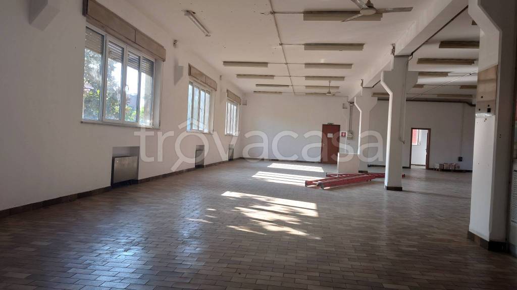 negozio in affitto a Piacenza in zona Veggioletta