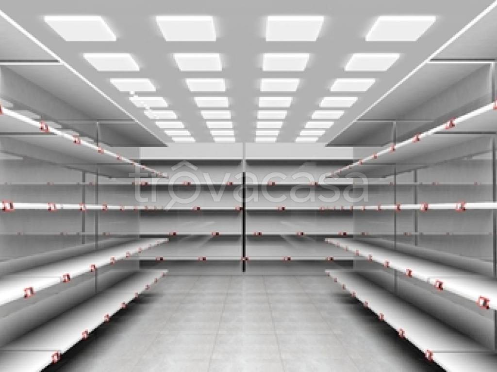 negozio in affitto a Piacenza in zona Centro Storico