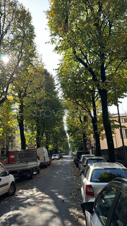 appartamento in affitto a Piacenza