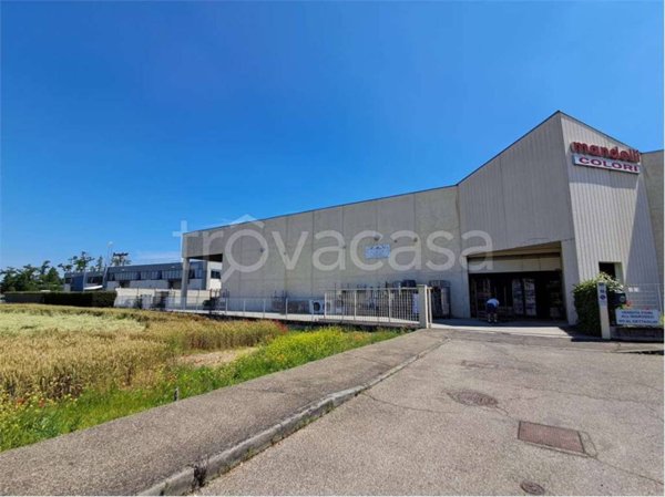 appartamento in affitto a Piacenza in zona Veggioletta