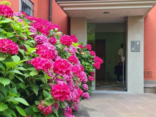 appartamento in affitto a Piacenza in zona Centro Storico