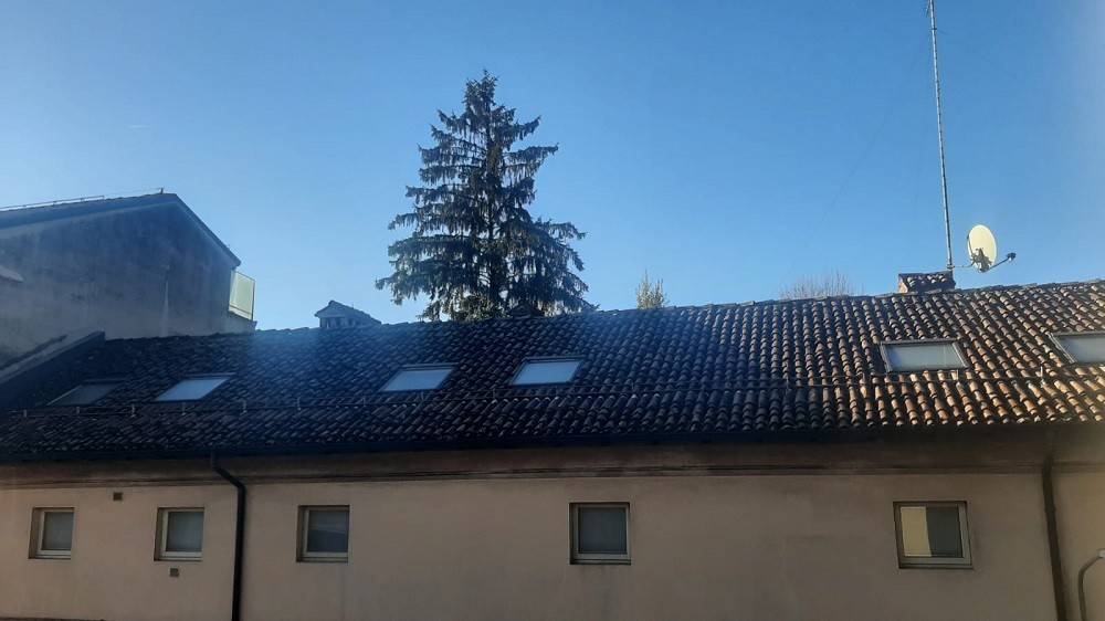 appartamento in affitto a Piacenza