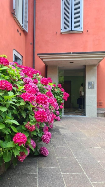 appartamento in affitto a Piacenza in zona Centro Storico