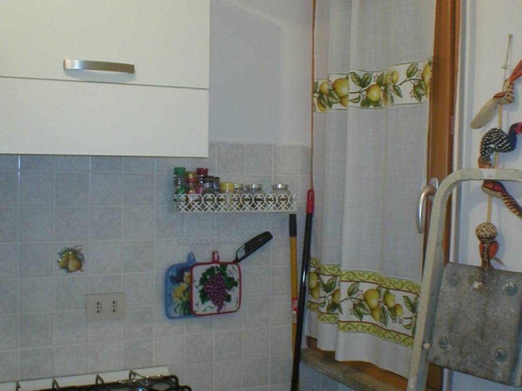 appartamento in affitto a Piacenza