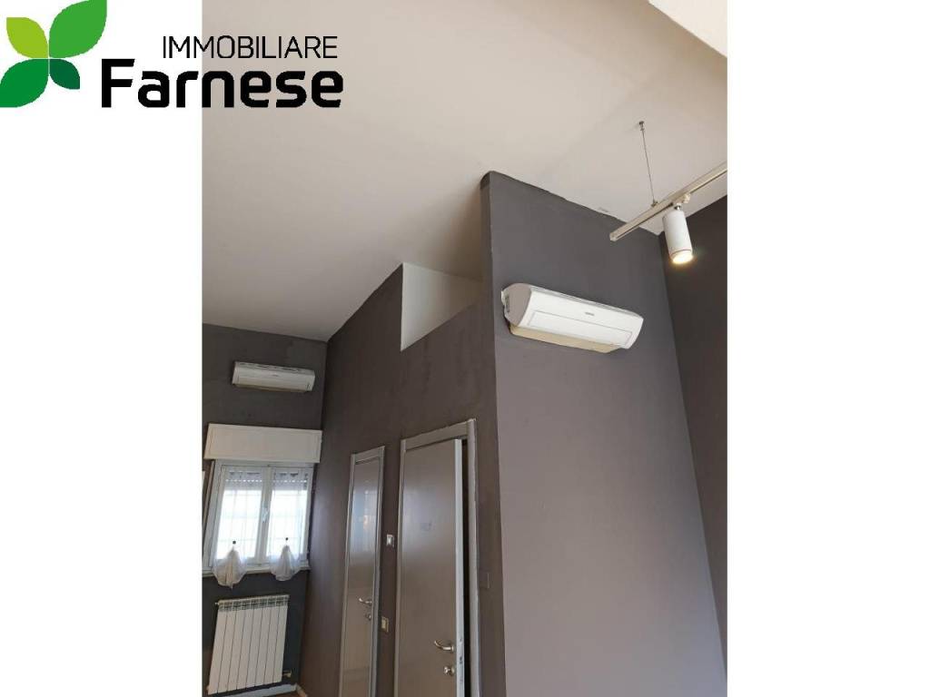 negozio in affitto a Piacenza in zona Stadio