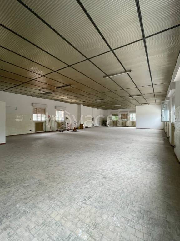 negozio in affitto a Piacenza in zona Stadio