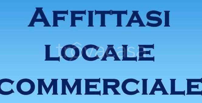 negozio in affitto a Piacenza in zona Barriera Genova